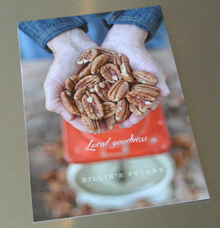 Flyer for Billie's Pecans featuring a handful of pecans in a pair of cupped hands along with the tagline, 