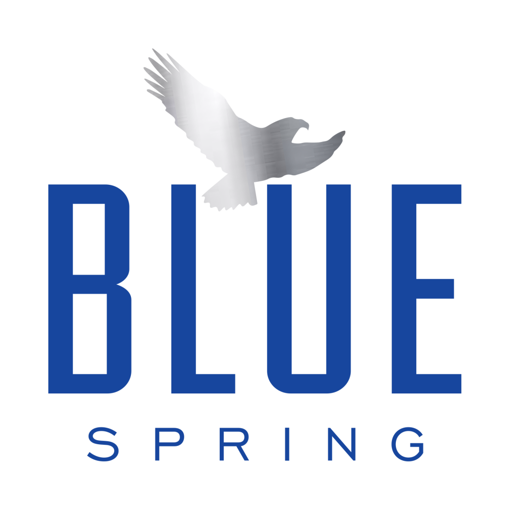 Blue Spring Water Logo